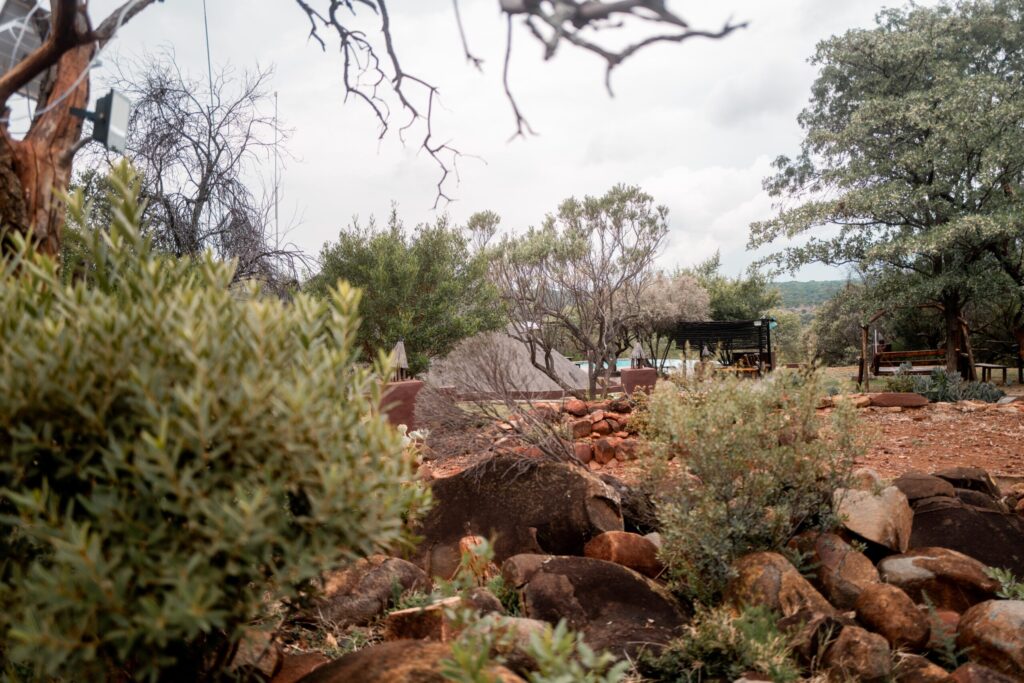 19 AN RIO 2025 L2130648 ©️NIKLASJUNGER.jpg