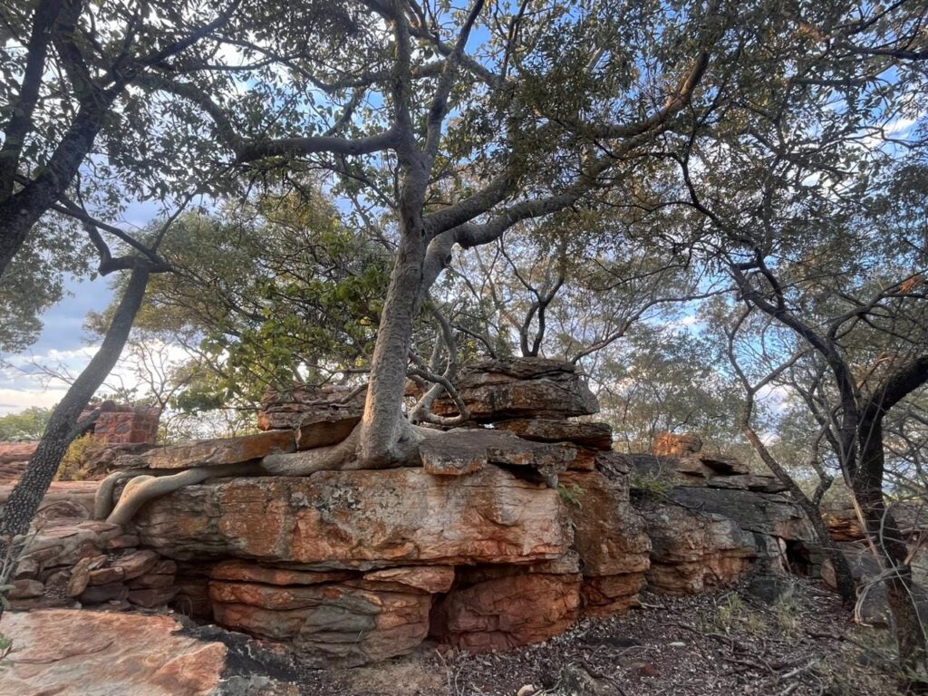 484896435 1160232832558555 6975807403451313859 n