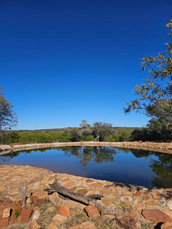 518398106 1251671950081309 2976965295451704195 n